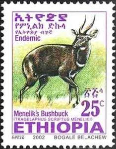 Stamp, Menelik's Bushbock (Tragelaphus scriptus meneliki), Ethiopia,  , Mammals, Antelopes, Animals (Fauna)