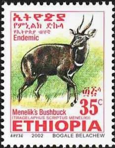 Stamp, Menelik's Bushbock (Tragelaphus scriptus meneliki), Ethiopia,  , Mammals, Antelopes, Animals (Fauna)