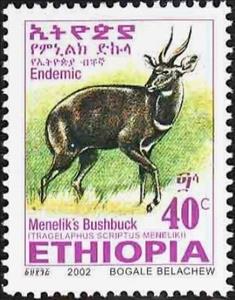 Stamp, Menelik's Bushbock (Tragelaphus scriptus meneliki), Ethiopia,  , Mammals, Antelopes, Animals (Fauna)
