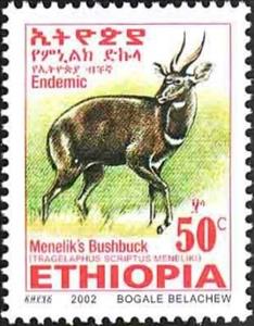 Stamp, Menelik's Bushbock (Tragelaphus scriptus meneliki), Ethiopia,  , Mammals, Antelopes, Animals (Fauna)