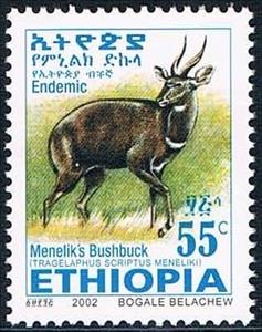 Stamp, Menelik's Bushbock (Tragelaphus scriptus meneliki), Ethiopia,  , Mammals, Antelopes, Animals (Fauna)