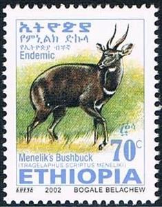 Stamp, Menelik's Bushbock (Tragelaphus scriptus meneliki), Ethiopia,  , Mammals, Antelopes, Animals (Fauna)