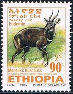Stamp, Menelik's Bushbock (Tragelaphus scriptus meneliki), Ethiopia,  , Mammals, Antelopes, Animals (Fauna)