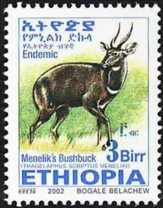 Stamp, Menelik's Bushbock (Tragelaphus scriptus meneliki), Ethiopia,  , Mammals, Antelopes, Animals (Fauna)