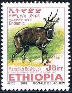Stamp, Menelik's Bushbock (Tragelaphus scriptus meneliki), Ethiopia,  , Mammals, Antelopes, Animals (Fauna)