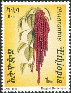 Flora