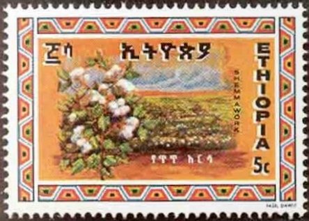 Cotton Plantation