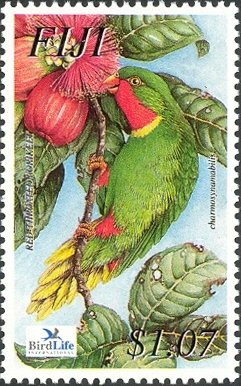 Stamp, Red-throated Lorikeet (Charmosyna amabilis), Fiji,  