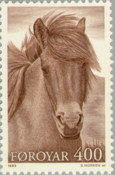 Horse (Equus ferus caballus)