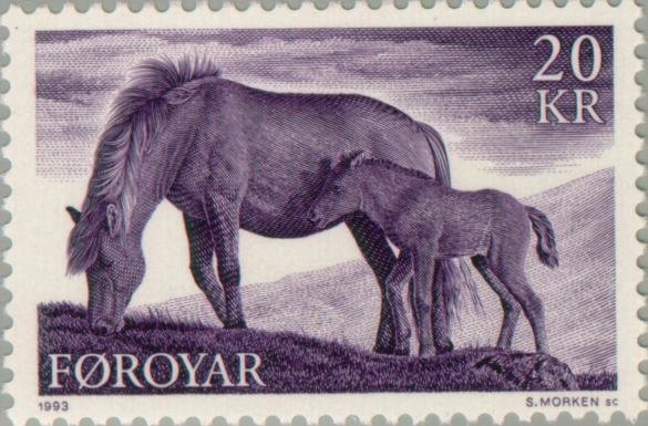 Horse (Equus ferus caballus)