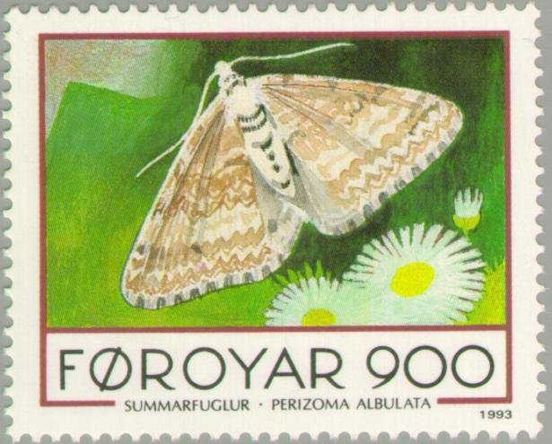 Grass Rivulet (Perizoma albulata)