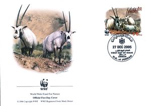 Arabian Oryx (Oryx leucoryx)
