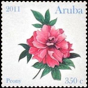 Stamp, Rosa, Aruba,  , Flowers