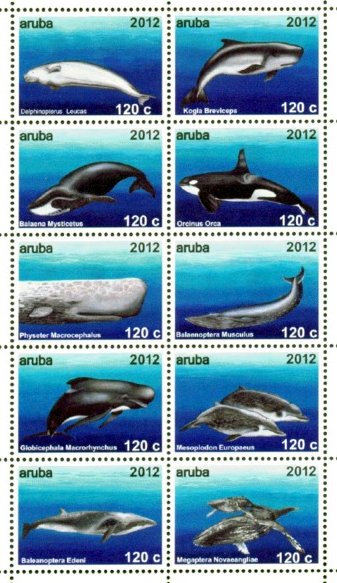 Block of 10, Whales