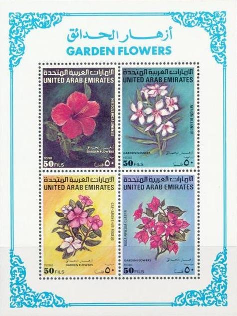 Garden and desert flowers block