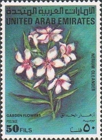 Nerium oleander