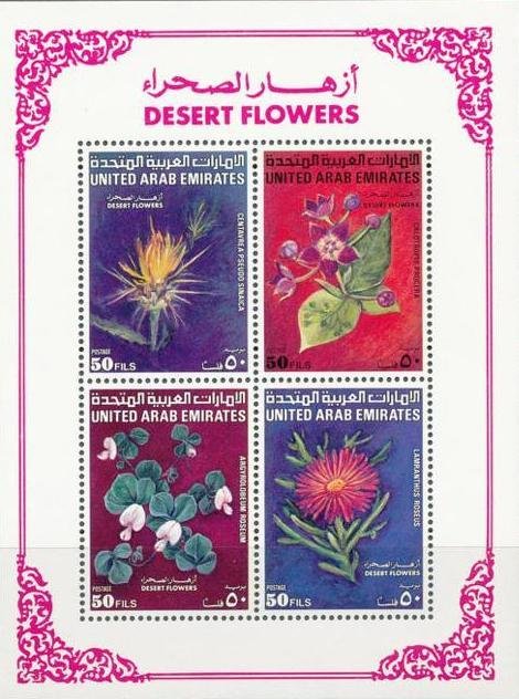 Garden and desert flowers block