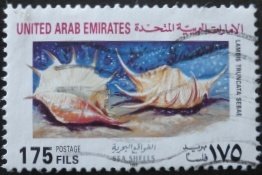 Stamp, Giant Spider Conch (Lambis truncata ssp. sebae), United Arab Emirates,  , Sea Life, Shells