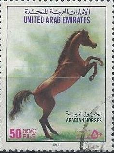 Horse (Equus ferus caballus)