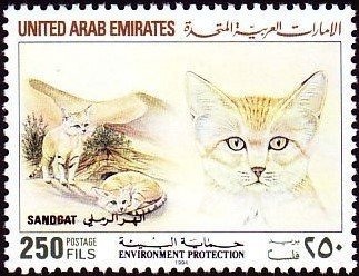 Stamp, Sand Cat (Felis margartia), United Arab Emirates,  