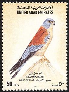 Stamp, Lesser Kestrel (Falco naumanni), United Arab Emirates,  , Birds, Birds of Prey, Animals (Fauna), Falcons