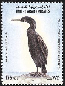 Stamp, Socotra Cormorant (Phalacrocorax nigrogularis) , United Arab Emirates,  , Birds, Animals (Fauna)
