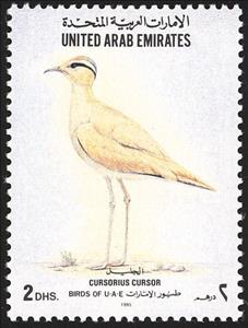 Stamp, Cream-colored Courser (Cursorius cursor), United Arab Emirates,  , Birds, Animals (Fauna)