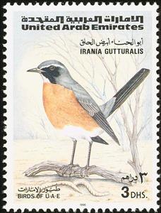 Stamp, White-throated Robin (Irania gutturalis), United Arab Emirates,  , Birds, Animals (Fauna)