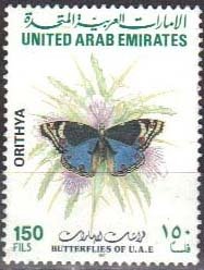 Blue Pansy (Junonia orithya)