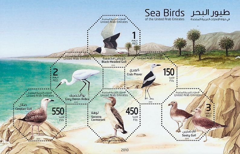 Birds block