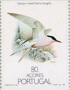 Stamp, Roseate Tern (Sterna dougallii), Azores,  , Birds, Animals (Fauna)