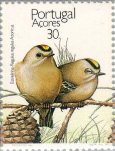 Stamp, Sao Miguel Goldcrest (Regulus regulus azoricus) , Azores,  , Birds, Animals (Fauna)
