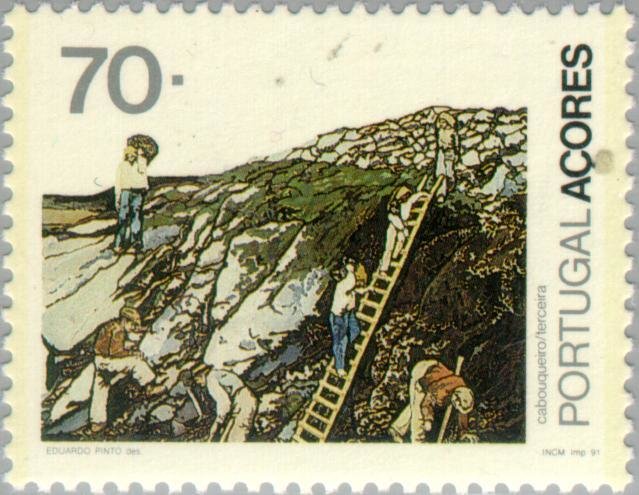 Occupations