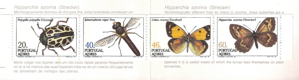Insects of the Azores (II)