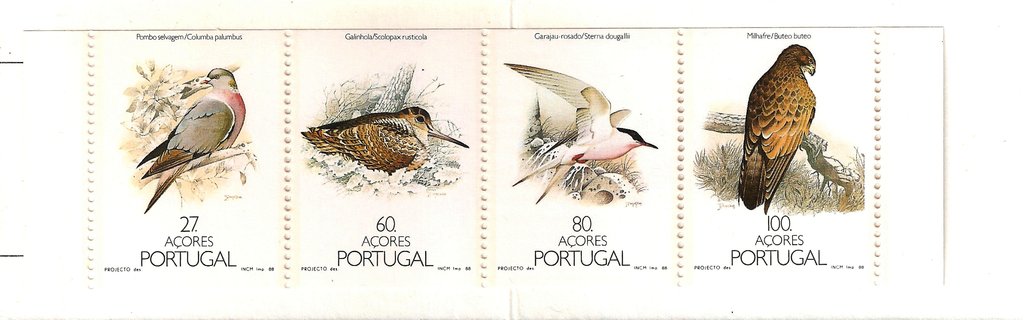 Birds of the Azores
