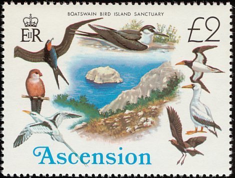Bird Protection Island Boatswain