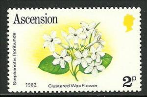 Stamp, Clustered Wax Flower, Ascension Island,  , Flowers