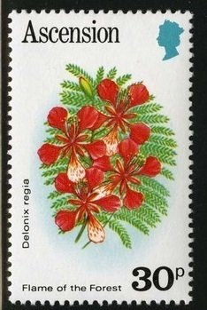Stamp, Flame of the Forest, Ascension Island,  , Flowers