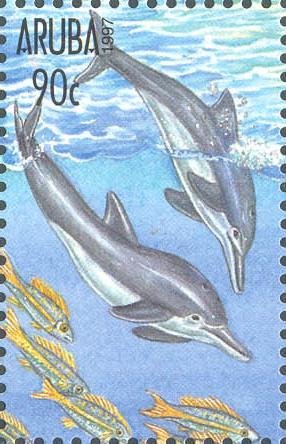 Stamp, Common Bottlenose Dolphin (Tursiops truncatus), Aruba,  , Sea Life