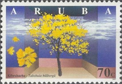 Tabebuia billbergii.