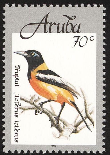 Northern Troupial (Icterus icterus)