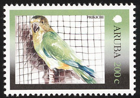 Budgerigar (Melopsittacus undulatus)