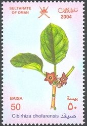 Stamp, Cibirhiza dhofarensis, Oman,  , Flowers