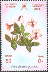 Stamp, Viola cinerea, Oman,  , Flowers