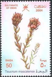 Stamp, Teucrium mascatense, Oman,  , Flowers