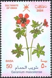 Stamp, Geranium mascatense, Oman,  , Flowers