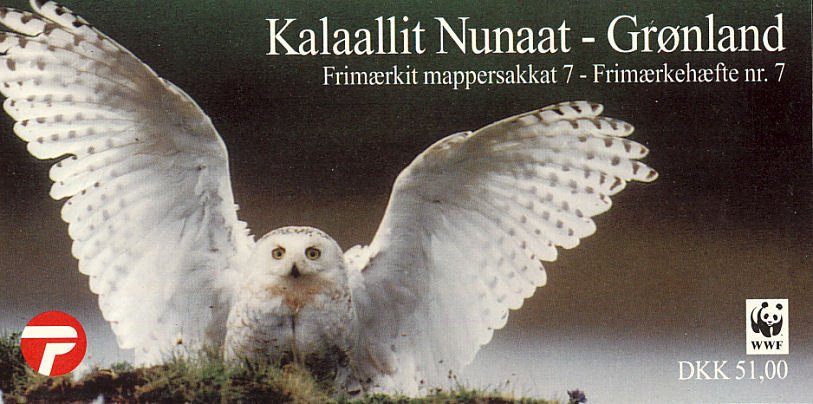 Snowy Owl (Bubo scandiacus)