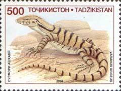 Desert Monitor (Varanus griseus)