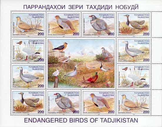 Birds - MiNo. 80-85