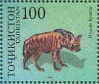 Striped hyena (Hyaena hyaena)